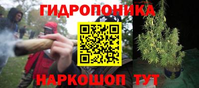 мяу мяу мука Брянск