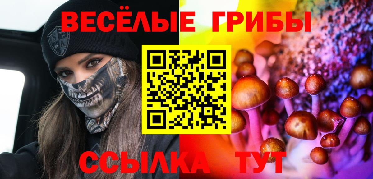 Моздок  Галлюциногенные грибы Cubensis  Псилоцибиновые грибы прущие грибы  Вход с VPN 