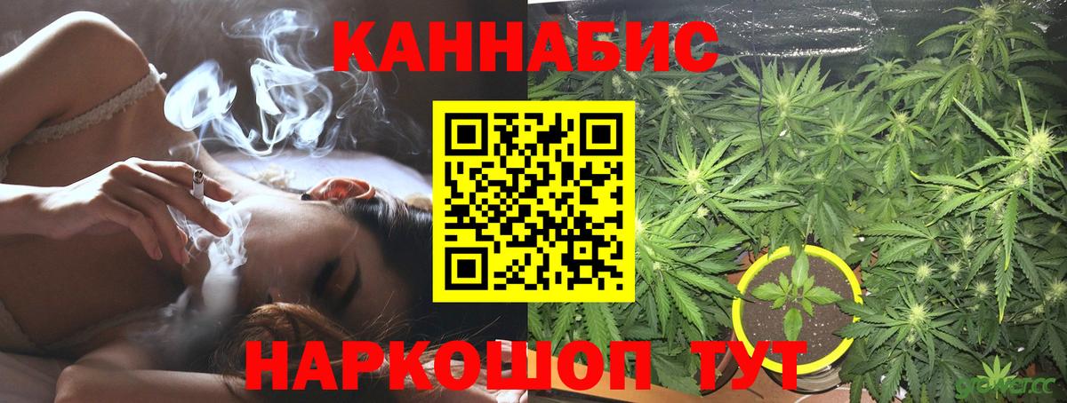 Бошки Шишки THC 21%  Бошки марихуана конопля  Моздок  Шишки марихуана тримм  Вход с VPN 